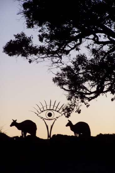 Inspiring Views B&B Wodonga Extérieur photo