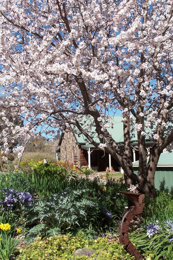 Inspiring Views B&B Wodonga Extérieur photo
