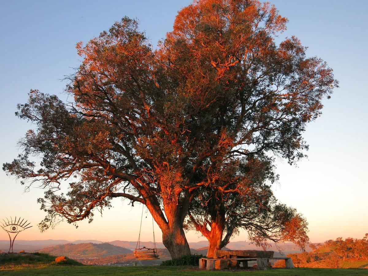 Inspiring Views B&B Wodonga Extérieur photo